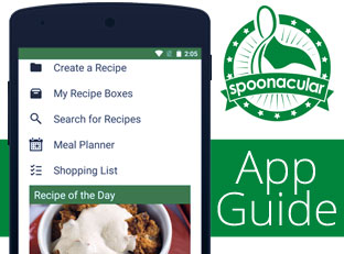 How to Use the spoonacular App: User Guide