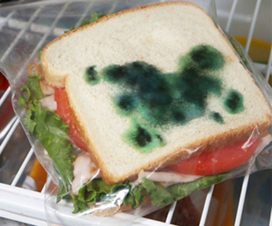Moldy Sandwich Bags with Theft Protection