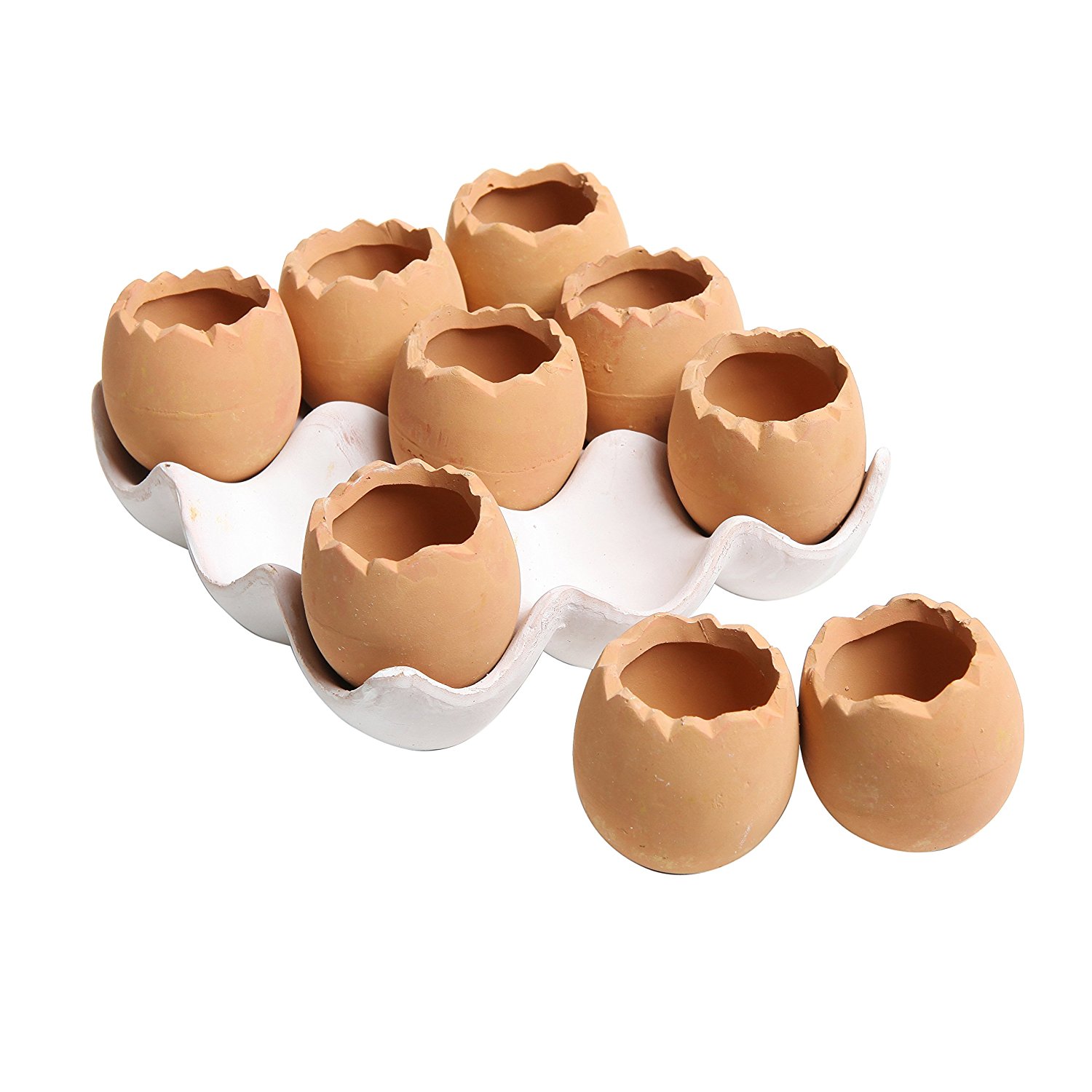Liven Up Your Home with Egg Succulent Planters