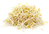1 cup fresh bean sprouts