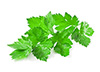 0.5 Tbsps celery leaves