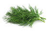 0.5 cup dill