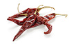 5  dried chillies