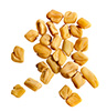 0.25 oz fenugreek seeds