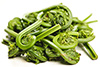 0.25 cup fiddleheads