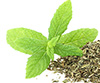 2 tsps canned dried mint