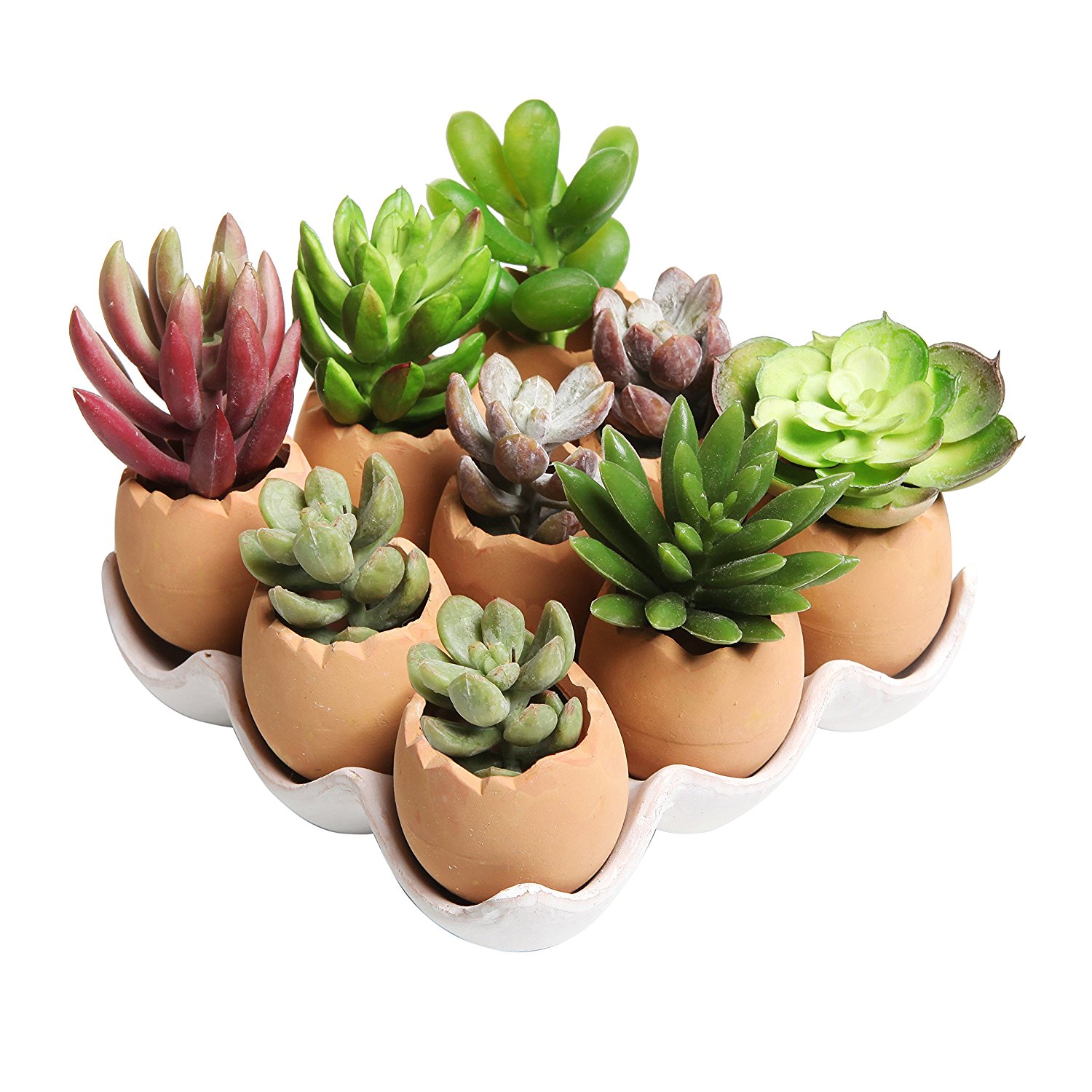Suitable for succulents or seedlings