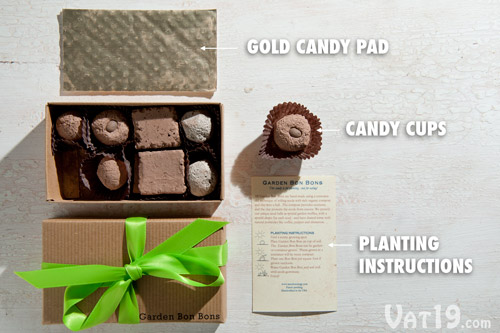 Packaging includes candy cups, a gold candy pad, and seed 'truffles'