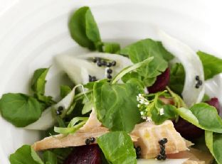 Salmon, Watercress, Fennel and Baby Beetroot Salad With Lemony "Caviar" Dressing